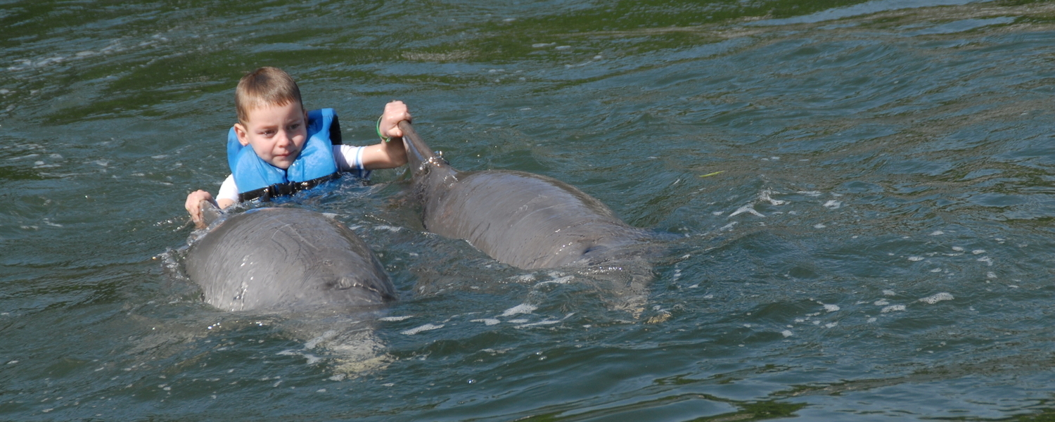 nager avec les dauphins à Varadero